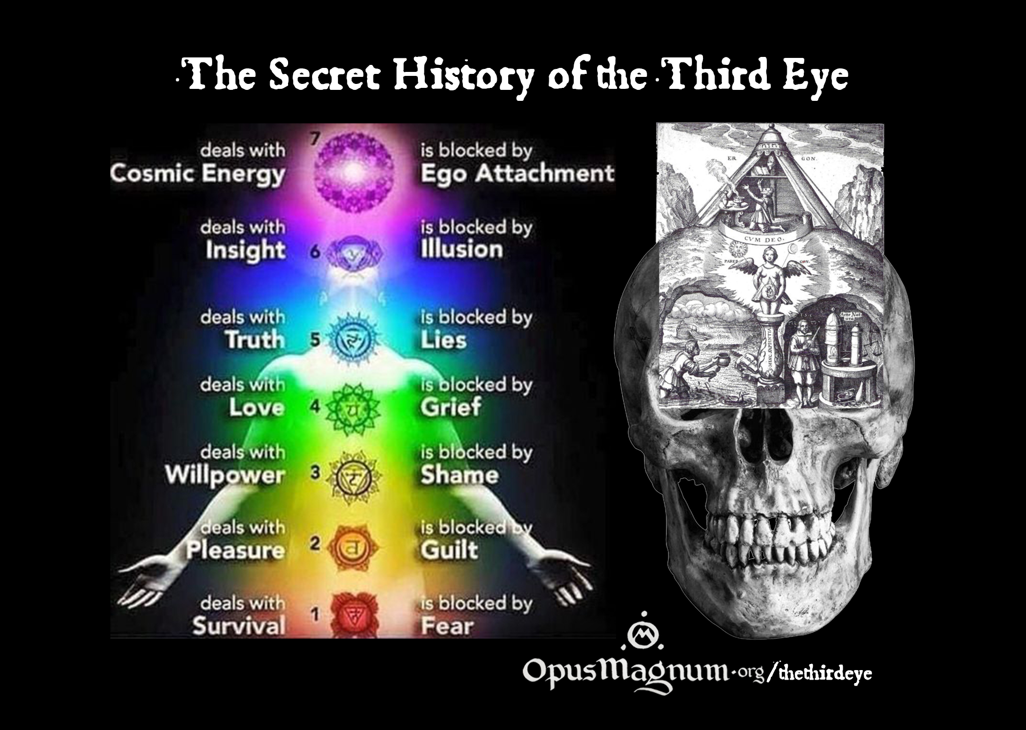 The Third Eye - Opus Magnum